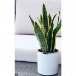 Keramični lonec Moon 31.072.16